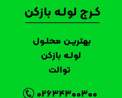 بهترین محلول لوله بازکن توالت