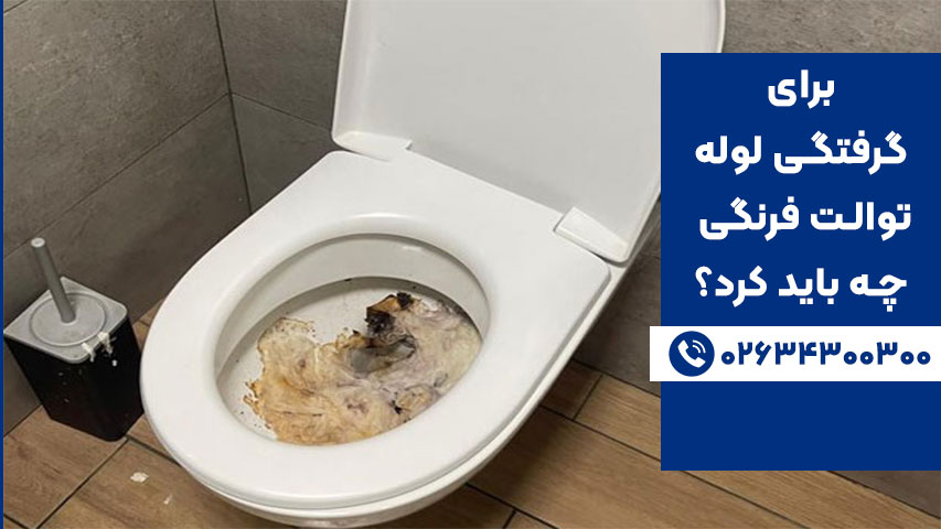 چرا توالت فرنگی می‌گیرد؟