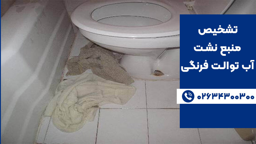 تشخیص منبع نشت آب توالت فرنگی