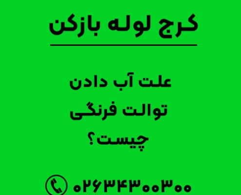 علت آب دادن توالت فرنگی چیست؟