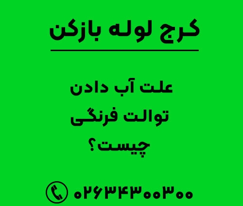 علت آب دادن توالت فرنگی چیست؟