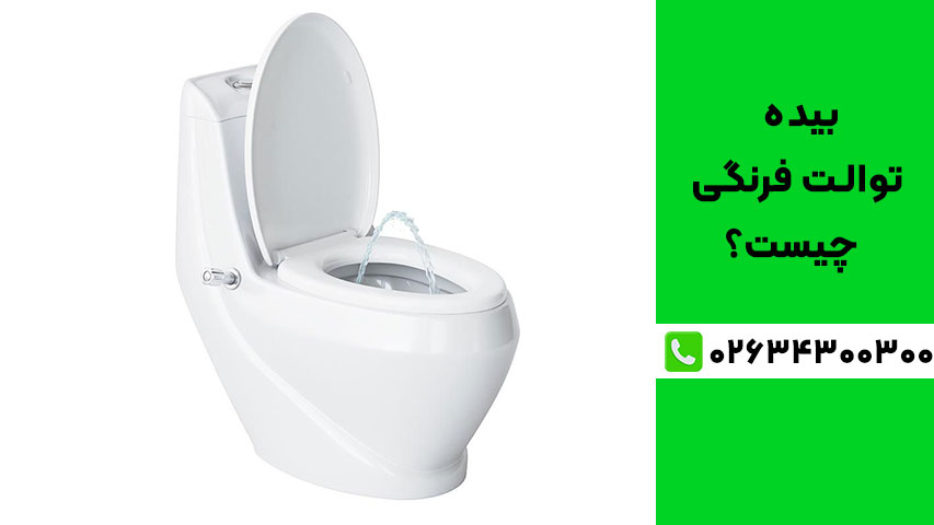 بیده توالت چیست و چه تفاوتی با شلنگ توالت دارد؟