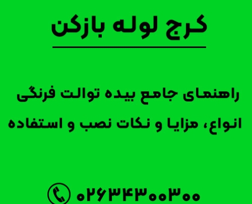 بیده توالت چیست؟