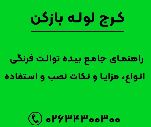 بیده توالت چیست؟