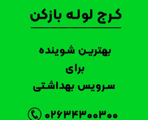 بهترین شوینده برای سرویس بهداشتی