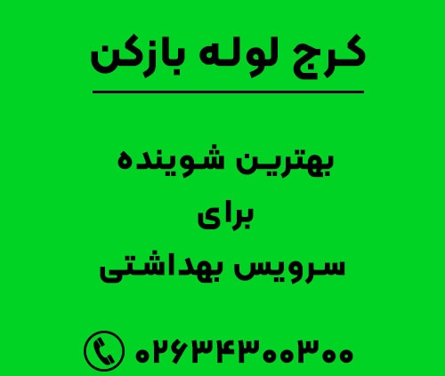 بهترین شوینده برای سرویس بهداشتی