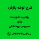 بهترین شوینده برای سرویس بهداشتی